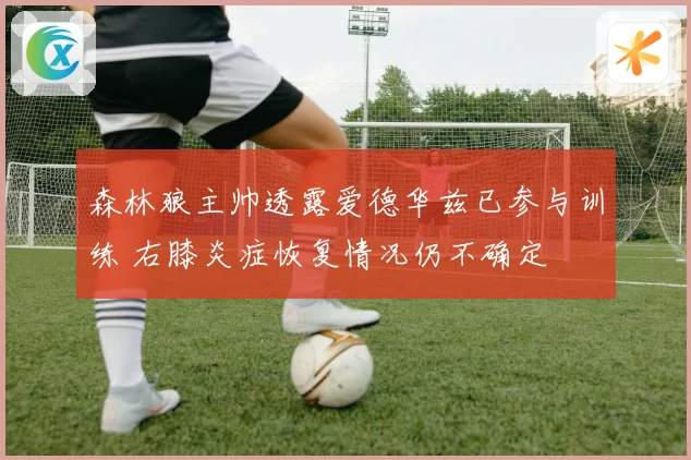 森林狼主帅透露爱德华兹已参与训练 右膝炎症恢复情况仍不确定