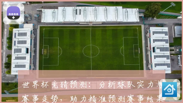 世界杯竞猜预测：分析球队实力与赛事走势，助力精准预测赛事结果